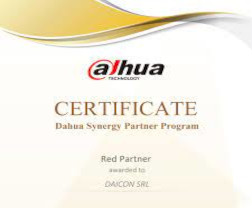 Daicon Dahua synergy partner program